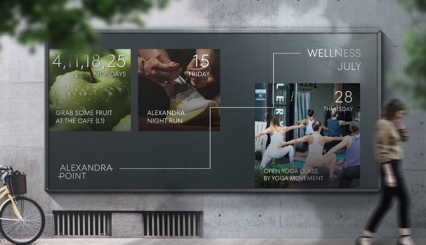 玉泉区画册设计公司如何进行品牌审核